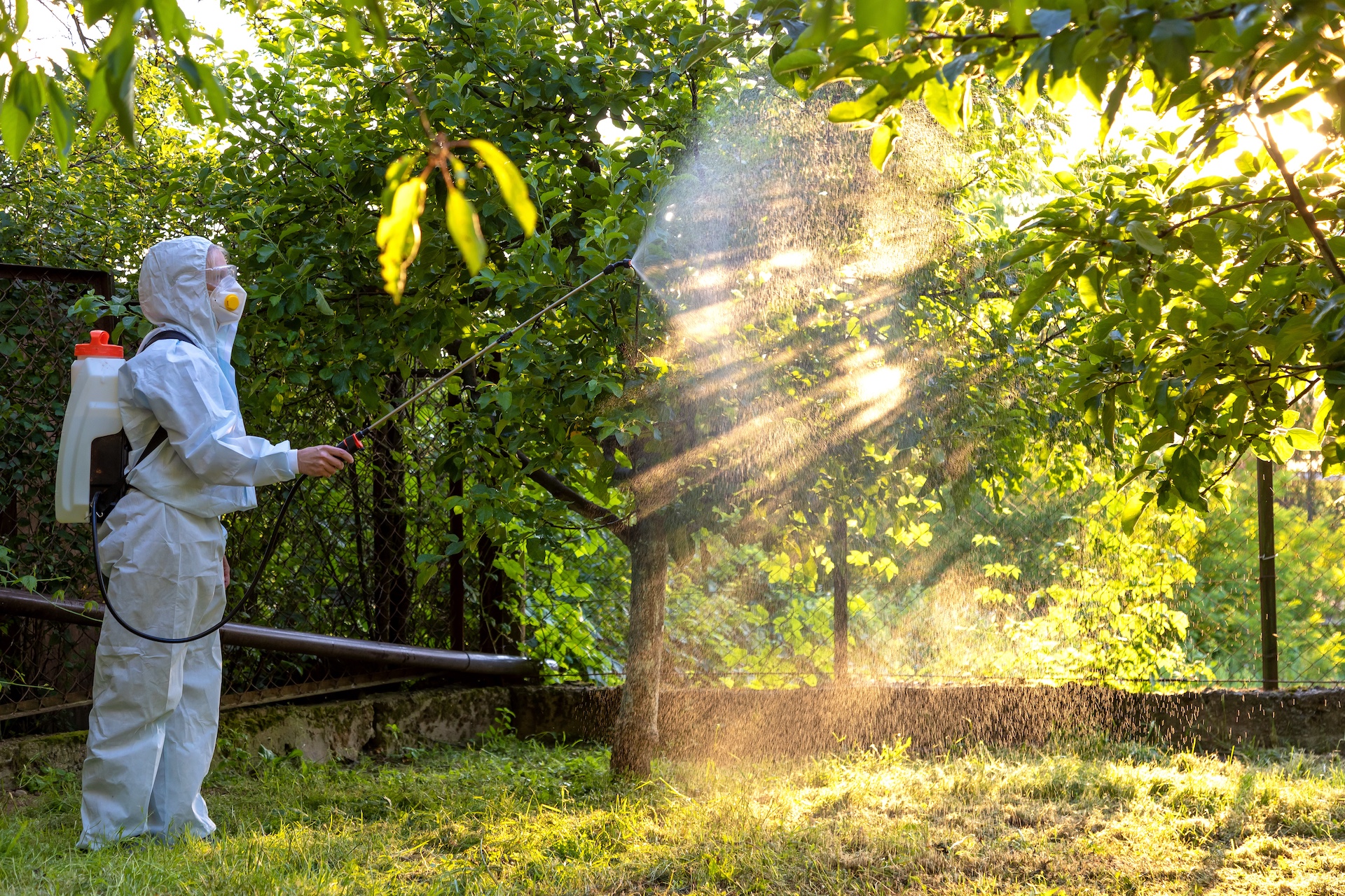Marché de la dératisation, désinsectisation et désinfection en France