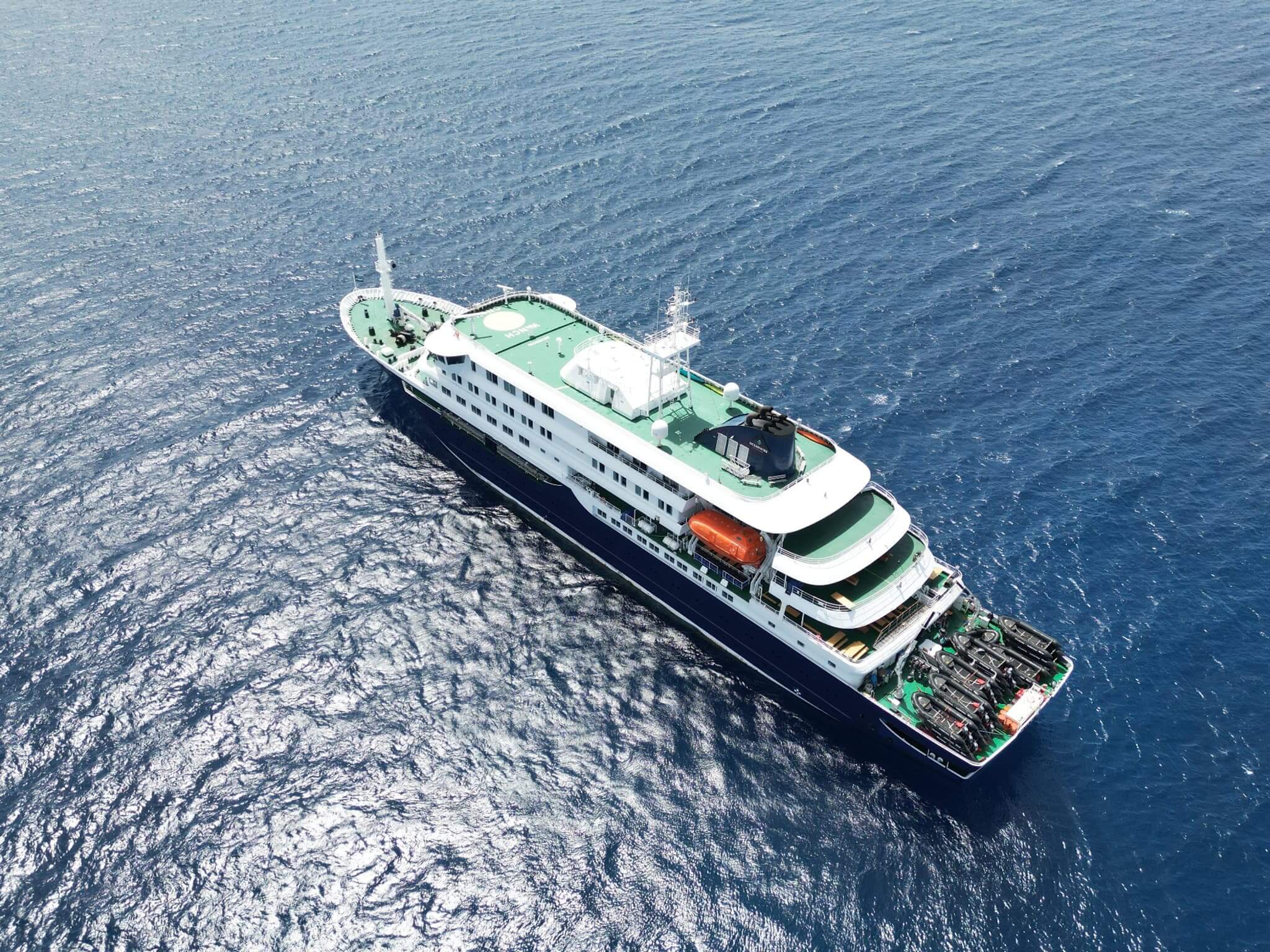 Hantavirus sur un bateau de croisière : ce qu’il faut savoir sur les risques liés aux rongeurs